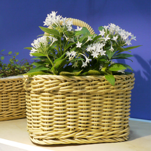 ザリーン 洗えるバスケット ウォールバスケットS