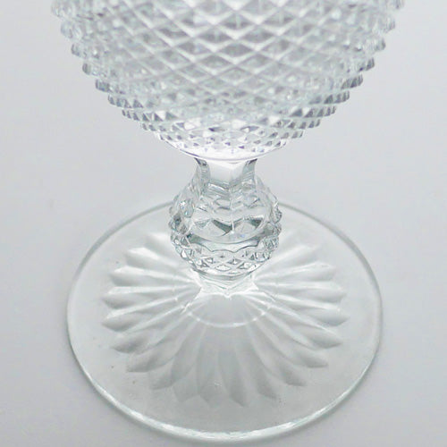 ヴィスタアレグレ ビコス ウォーターゴブレット クリア