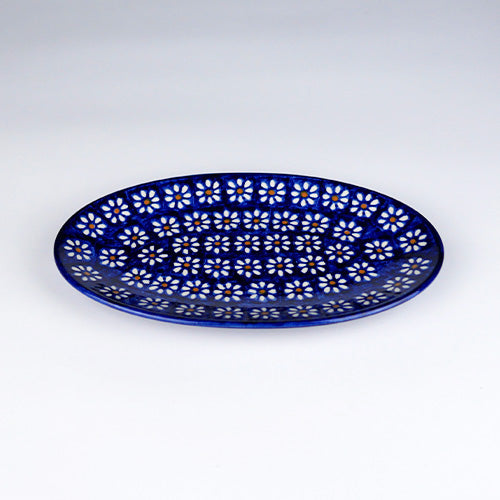 カンネギーサー　フィッシュプレート