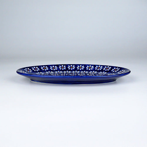 カンネギーサー　フィッシュプレート