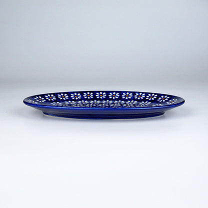 カンネギーサー　フィッシュプレート