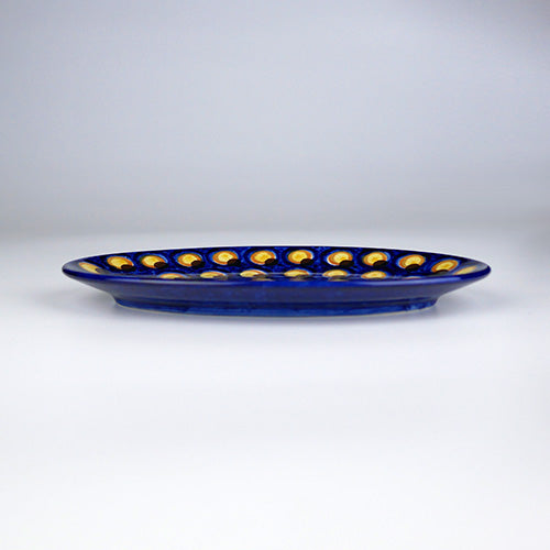 カンネギーサー　フィッシュプレート